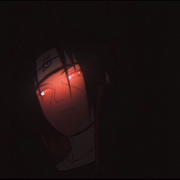 Meet your Posher, Hendrix - Picture 1 of 1